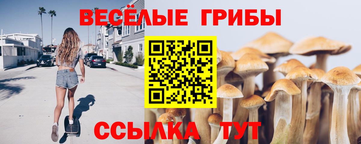 Галлюциногенные грибы Magic Shrooms Камышлов