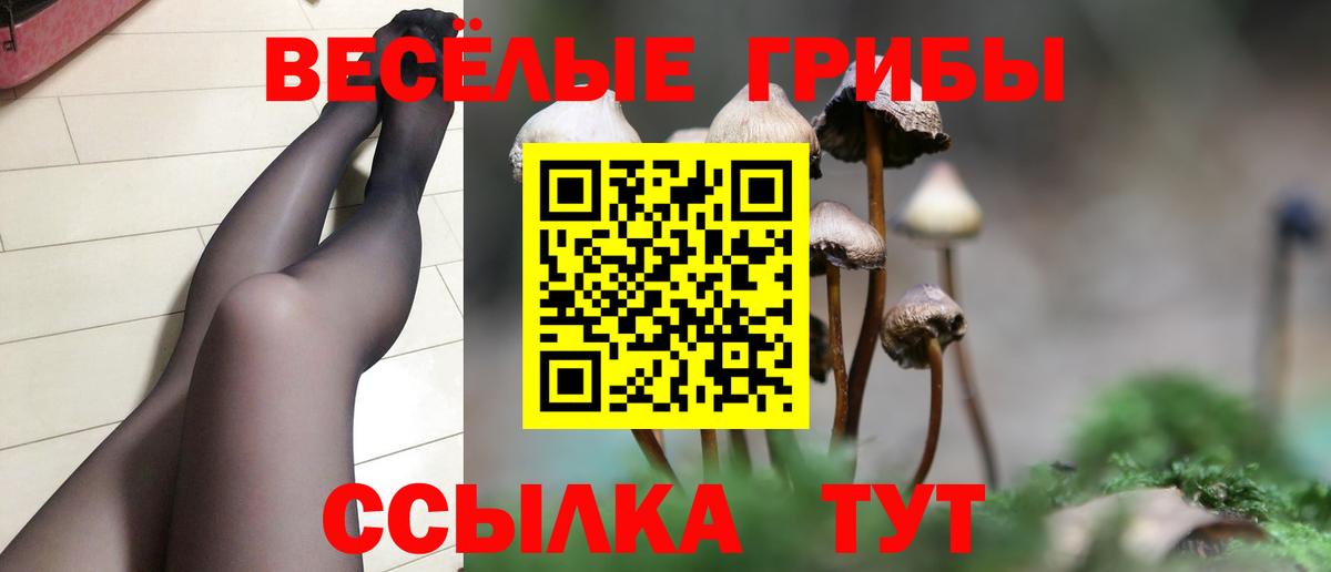 Камышлов  Галлюциногенные грибы мицелий  где можно купить   Вход с VPN 